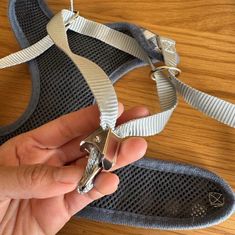 NWOT Cat Harness with Bow